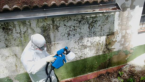 Mold Remediation service in Glen Richey, Glen Richey, PA